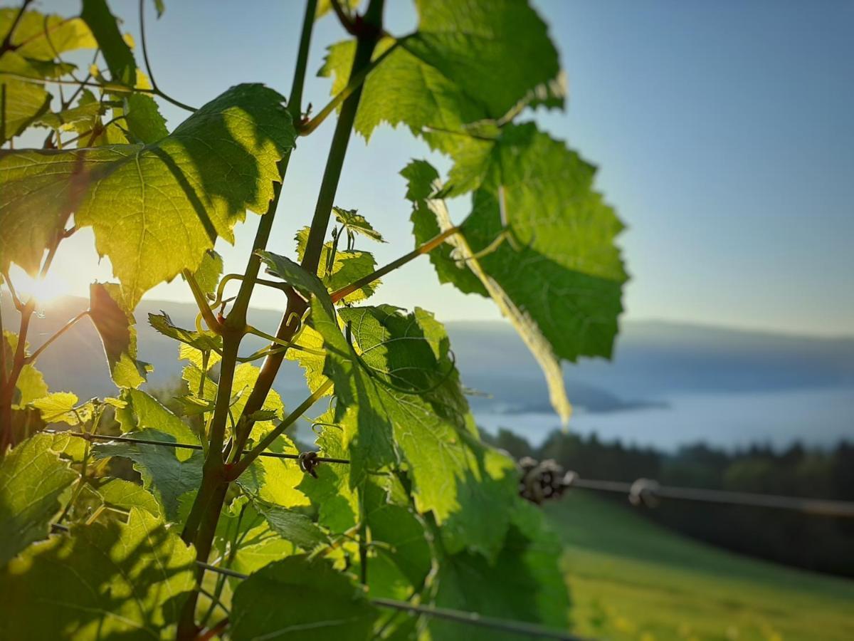 Ferienwohnung Auszeit am Weinhof Loschental Exterior foto